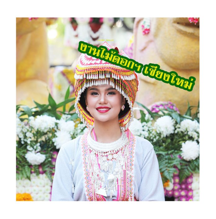 สาวชาวเขา