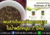 เผยผลทดสอบ สารกันบูดในน้ำพริกหนุ่ม 17 ยี่ห้อ พบสารกันบูดเกินมาตรฐาน 7 ยี่ห้อ