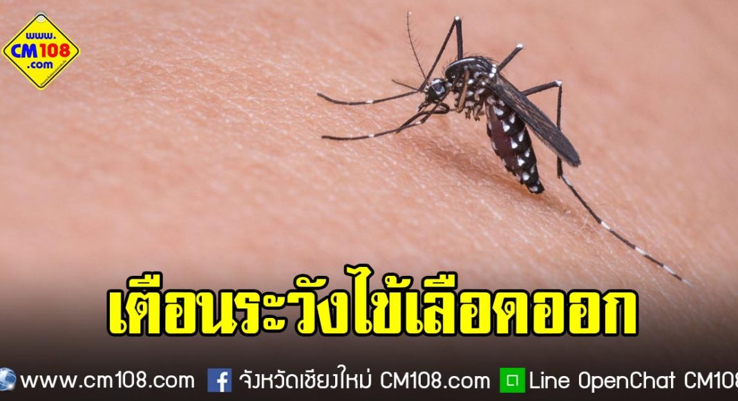 Banner-mosquito-02-09-2562