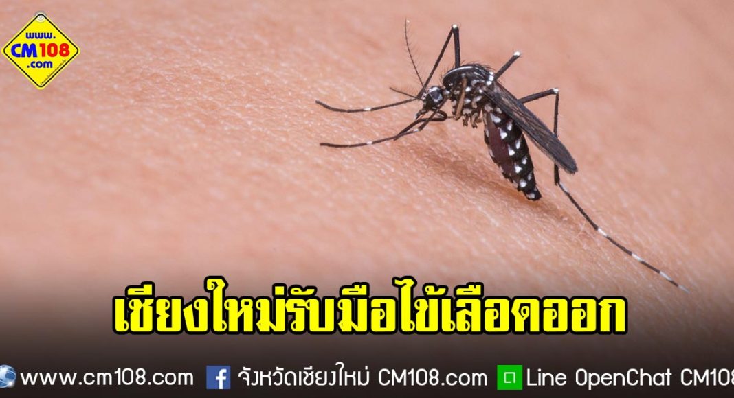 Banner-mosquito-03-09-2562