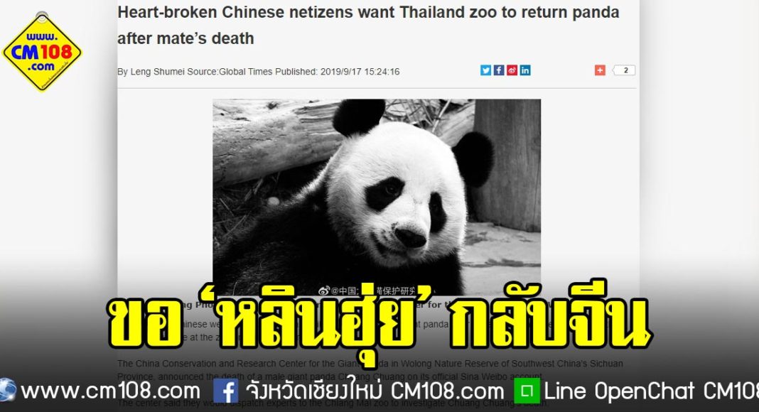 Banner-panda-3-18-09-2562