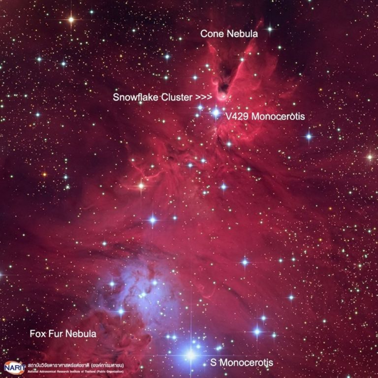 My Image 35