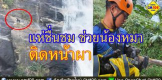 ช่วยหมาติดหน้าผา น้ำตก ดอยอินทนนท์