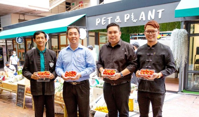 โครงการ Chiangmai Local Food