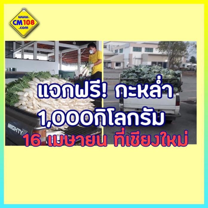 กะหล่ำ