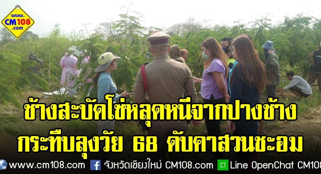 Banner-elephant-17-04-2563