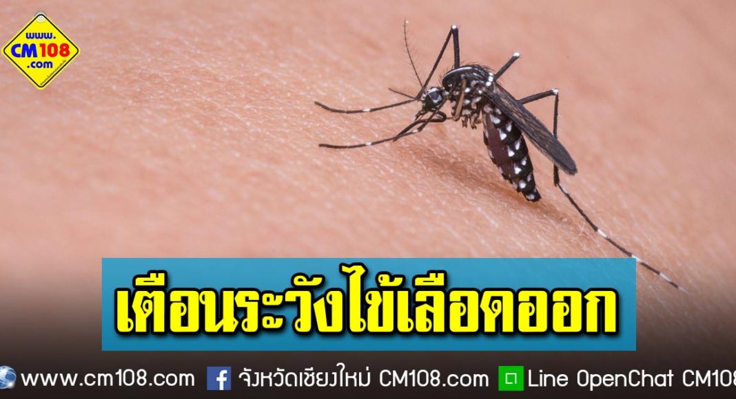Banner-mosquito-21-04-2563