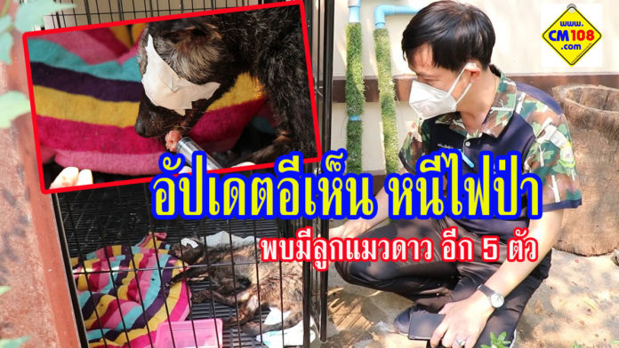 ไฟป่าดอยสุเทพ