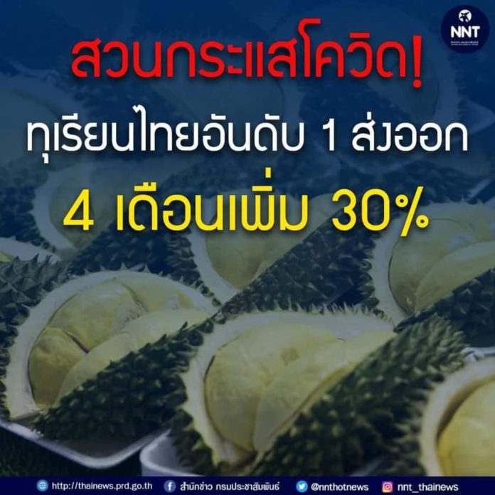 สวนกระแสโควิด!!  ไทยแชมป์ส่งออกทุเรียนโลกอันดับ 1 ผ่านมา 4 เดือนเพิ่มขึ้น 30%