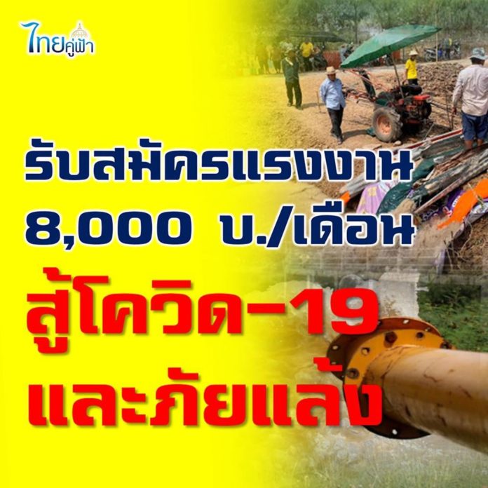 กรมชลประทานเปิดรับสมัครแรงงานทั่วประเทศ  สู้โควิด-19 และภัยแล้ง 8,000 บ./เดือน