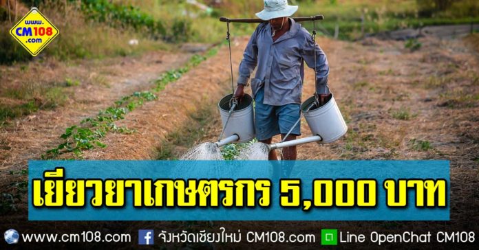 Banner-farmer-01-05-2563