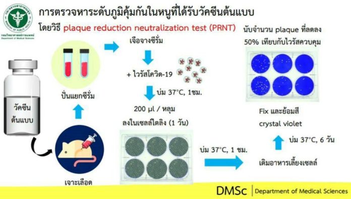 กรมวิทย์ฯ เผยขั้นตอนการตรวจหาระดับภูมิคุ้มกันในหนูที่ได้รับวัคซีนโควิด 19