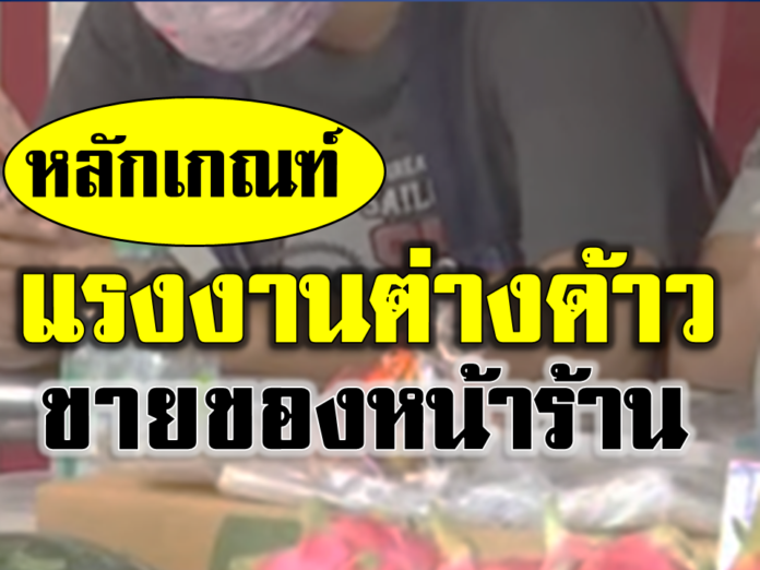 แรงงานต่างด้าวทำอาชีพ 