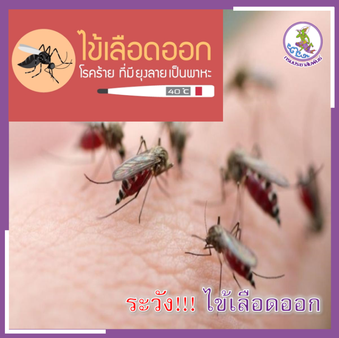 ไข้เลือดออก