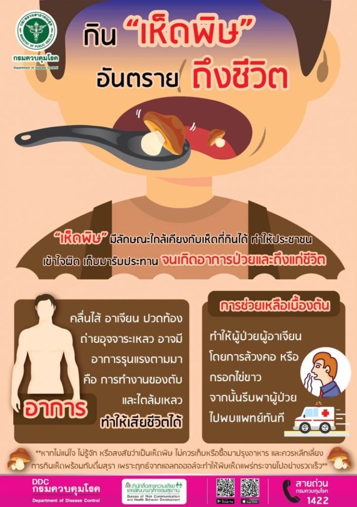 กรมควบคุมโรค เตือนในช่วงหน้าฝนนี้ ขอให้ประชาชนระวังอันตรายจากการเก็บหรือซื้อเห็ดป่ามารับประทาน อาจเป็นเห็ดพิษ เสี่ยงเสียชีวิตได้