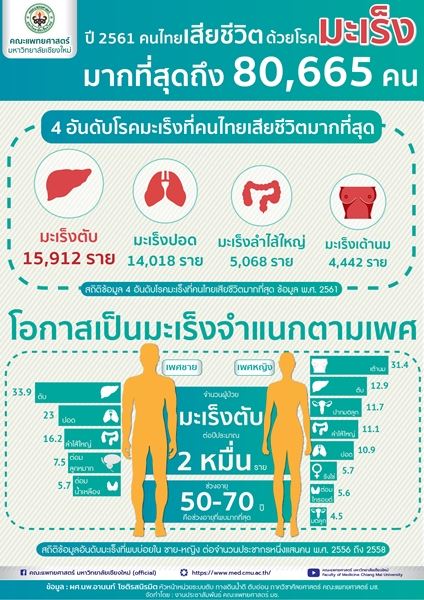 มะเร็งตับพุ่ง ผู้ป่วยเพิ่ม 2 หมื่นรายต่อปี ครองแชมป์อันดับ 1 ในเพศชาย อันดับ 2 ในเพศหญิง ของไทย