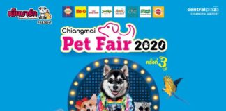กลับมาสร้างความสุขเพื่อคนรักสัตว์อีกครั้ง มหกรรมสัตว์เลี้ยงสุดยิ่งใหญ่ "เชียงใหม่เพ็ทแฟร์ 2020" 