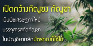 เปิดกว้างกัญชง กัญชา เป็นพืชเศรษฐกิจใหม่ บรรจุสารสกัดกัญชาในบัญชียาหลัก บัตรทองก็ใช้ได้