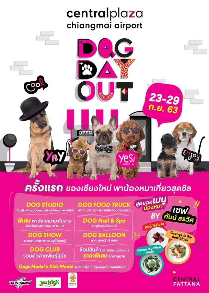 งาน “Dog Day Out”