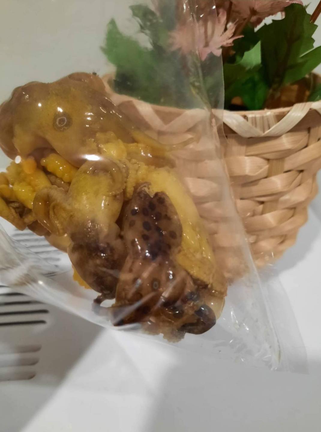 ระวังกินปลาหมึก