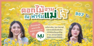 ดอกไม้งาม ฟาร์มแม่โจ้
