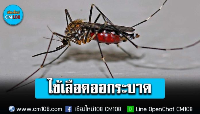 Banner-New-mosquito-19-06-2566