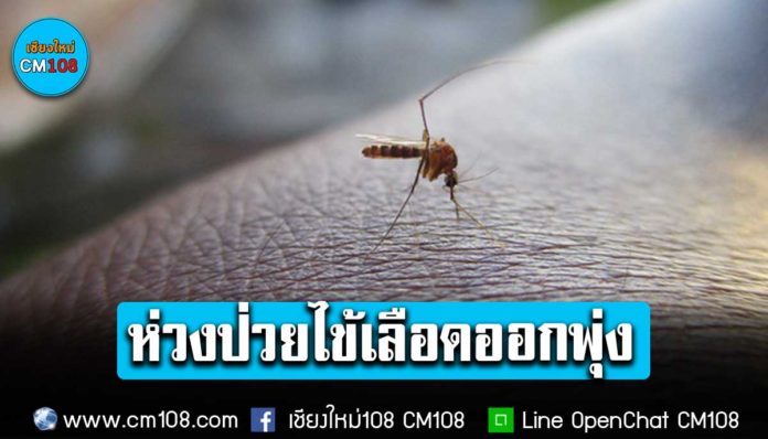 Banner-New-mosquito-05-07-2566