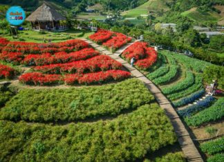 จุดเช็คอินรับลมหนาวของเชียงใหม่ “สวนดอกไม้ป้างฮวาและสวนส้ม” ที่บ้านแม่ขิ อ.แม่ริม ถ่ายรูปกับทุ่งดอกไม้นานาพันธุ์ พร้อมเก็บส้มสดๆ จากสวน มีคาเฟ่เล็กๆ บริการเครื่องดื่มและเบเกอรี่ จุดเช็คอินรับลมหนาวของเชียงใหม่ “สวนดอกไม้ป้างฮวาและสวนส้ม” ที่บ้านแม่ขิ อ.แม่ริม ถ่ายรูปกับทุ่งดอกไม้นานาพันธุ์ พร้อมเก็บส้มสดๆ จากสวน มีคาเฟ่เล็กๆ บริการเครื่องดื่มและเบเกอรี่