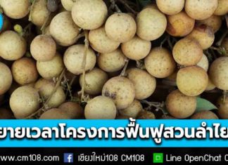 กรมส่งเสริมการเกษตร ประกาศขยายเวลา เข้าร่วมโครงการฟื้นฟูสวนลำไยฯ ถึง 15 ธ.ค. 68 รับไร่ละ 1,000 บ. ไม่เกิน 10 ไร่