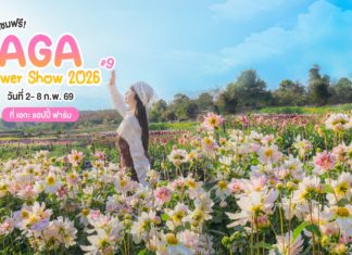 เปิดเข้าชมฟรี!! งานจัดแสดงดอกไม้หลากหลายสายพันธุ์ AGA Flower Show 2026 ครั้งที่ 9 เริ่มตั้งแต่วันที่ 2 – 8 กุมภาพันธ์ 2569 เวลา 09.00 – 17.00 น. ณ เอกะ แฮปปี้ ฟาร์ม อ.แม่แตง จ.เชียงใหม่
