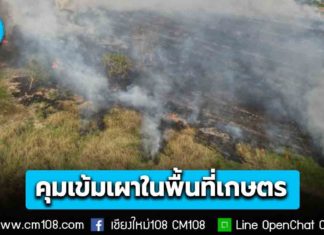 ปภ. คุมเข้มการเผาในพื้นที่เกษตร แก้ปัญหา PM2.5 อย่างเป็นระบบ ตั้งเป้าลดพื้นที่เผาไม่น้อยกว่า 15%