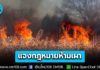 มีหนาว! คพ. แจงกฎหมายห้ามเผา โทษปรับสูงสุด 2,000,000 บาท จำคุก 20 ปี หรือทั้งจำทั้งปรับ