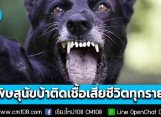เตือน! ไม่ชำแหละสัตว์ที่ป่วยตายผิดปกติ เสี่ยงติดเชื้อ “โรคพิษสุนัขบ้า” ย้ำติดเชื้อเสียชีวิตทุกราย ถูกกัด-ข่วน อย่าชะล่าใจ รีบล้างแผลไปพบแพทย์ ปี 69 พบดับแล้ว 1 ราย