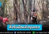 “สุชาติ” สั่งรับมือแล้งรุนแรง ยกระดับคุมเข้มการเผา เฝ้าระวังพื้นที่เกิดไฟป่าซ้ำซาก