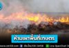 ย้ำ! ห้ามเผาพื้นที่เกษตรทั่วประเทศ ถึง 31 มี.ค. 69 สกัด PM2.5 ฝ่าฝืนโดนตัดสิทธิช่วยเหลือนาน 2 ปี