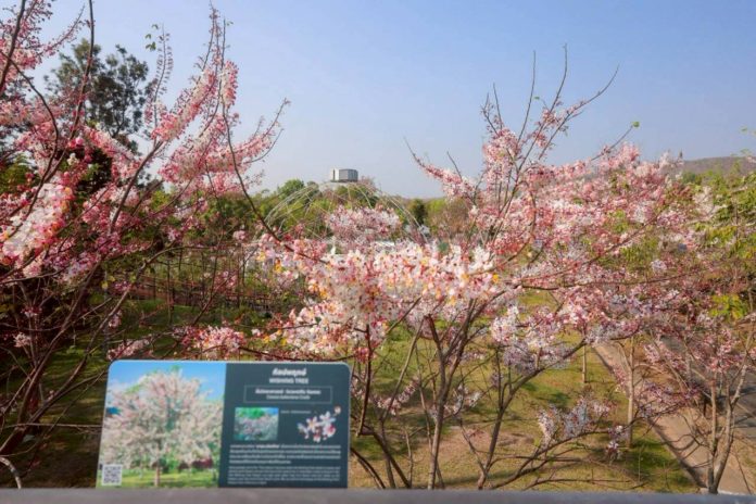 LINE_ALBUM_2422026_260224_1