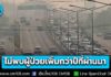 ปลัด สธ. เผย ฝุ่น PM2.5 “เชียงใหม่” สูงเกินเกณฑ์ต่อเนื่อง ดูแลสุขภาพประชาชนเต็มที่ เฝ้าระวัง 4 กลุ่มโรคสำคัญยังไม่พบผู้ป่วยเพิ่มกว่าปีที่ผ่านมา