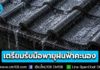 ปภ. แจ้ง 56 จังหวัด เตรียมรับมือพายุฝนฟ้าคะนอง ลมกระโชกแรง ช่วงวันที่ 23-25 เม.ย. 69 กระทบ “เชียงใหม่” 24 เม.ย. นี้