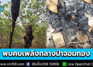 “รมว.ทส.สุชาติ” สั่งด่วน! อธิบดีกรมอุทยานฯ กำชับเข้มหลังพบ “คบเพลิง” กลางป่าจอมทอง ยันเป็นการลอบวางเพลิง เตรียมขยายผลจับกุม