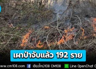 ใช้ยาแรง! ปลัด มท. เผยสามารถจับกุมผู้ต้องหาคดีเผาป่า-ลักลอบเข้าป่า 17 จังหวัดภาคเหนือแล้ว 192 ราย “เชียงใหม่” 21 ราย ย้ำพบอีกจับอีกส่งดำเนินคดีเด็ดขาด ไม่มีละเว้น
