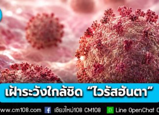 รัฐบาลเฝ้าระวังใกล้ชิด! “ไวรัสฮันตา” ย้ำไทยยังไม่พบการระบาด พร้อมเพิ่มมาตรการคัดกรองและประเมินความเสี่ยงต่อเนื่อง
