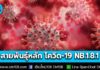 กรมควบคุมโรค เผยไทยพบโควิด-19 สายพันธุ์ NB.1.8.1 เป็นสายพันธุ์หลัก แพร่ได้ง่าย หลบภูมิคุ้มกันได้ดี แต่ยังไม่พบว่าทำให้เกิดโรครุนแรงมากขึ้น