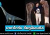 “นาคาไททัน ชัยภูมิเอนซิส” ไดโนเสาร์คอยาวชนิดใหม่ ใหญ่ที่สุดเท่าที่เคยค้นพบในประเทศไทย