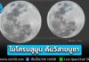รอชม “ไมโครบลูมูน” คืนวิสาขบูชา 31 พ.ค. 69 ดวงจันทร์เต็มดวงไกลโลกที่สุดในรอบปี