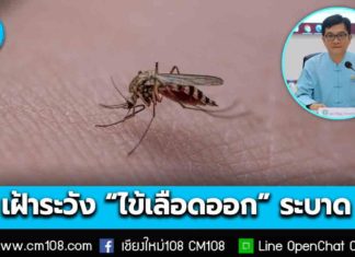 สสจ.เชียงใหม่ เฝ้าระวังการระบาด “ไข้เลือดออก” พบพื้นที่ระบาดมากสุด อ.แม่วาง-ดอยเต่า-เมือง-สันทราย-เชียงดาว ในวัยทำงานและผู้สูงอายุ