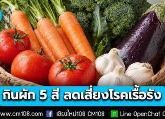 มากกว่าความเฮลตี้ แพทย์ มช. ชี้ชัด “กินผักครบ 5 สี” ช่วยลดความเสี่ยงโรคเรื้อรังได้จริง
