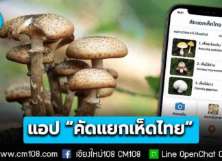 กรมวิทยาศาสตร์การแพทย์ ผุดแอป “คัดแยกเห็ดไทย” สกัดป่วย-ตายจากเห็ดพิษ หลังพบผู้ป่วยทะลุ 1.2 หมื่นราย