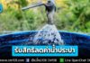 เริ่มแล้ว! รัฐบาลเปิดลงทะเบียนรับสิทธิลดค่าน้ำประปา ย้ำ! ผู้ผ่านบัตรสวัสดิการแห่งรัฐปี 2569 ทั้งรายเดิมและรายใหม่ ต้องลงทะเบียนใหม่ทุกคน