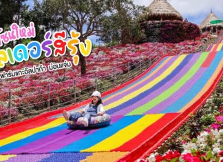 โซนใหม่!! “สไลเดอร์สีรุ้ง” ที่ฟาร์มแกะอัลปาก้าม่อนแจ่ม เชียงใหม่