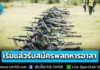 เริ่มแล้ว! รับสมัคร “พลทหารอาสา” 1.8 หมื่นนาย จ้าง 4 ปี เงินเดือน+ค่าตอบแทนเกือบ 1.5 หมื่น